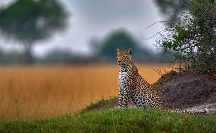 shutterstock 2357733393