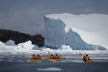 Ultimate New Year's Falklands to Antarctic Circle