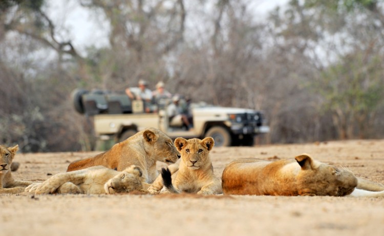 Chiawa Safaris small 