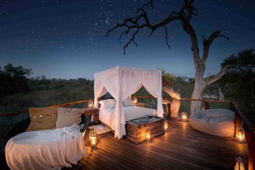 Unique Stay: Lion Sands Treehouses
