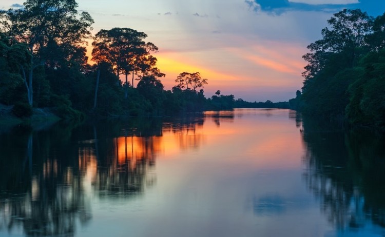 Amazon Rainforest