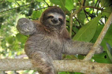 Unique Stay: Tambopata Research Centre - Amazon