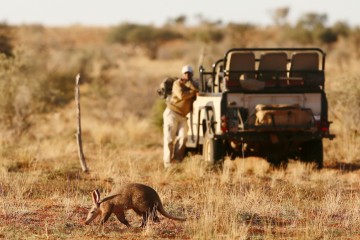 Unique Stay: Tswalu Private Game Reserve