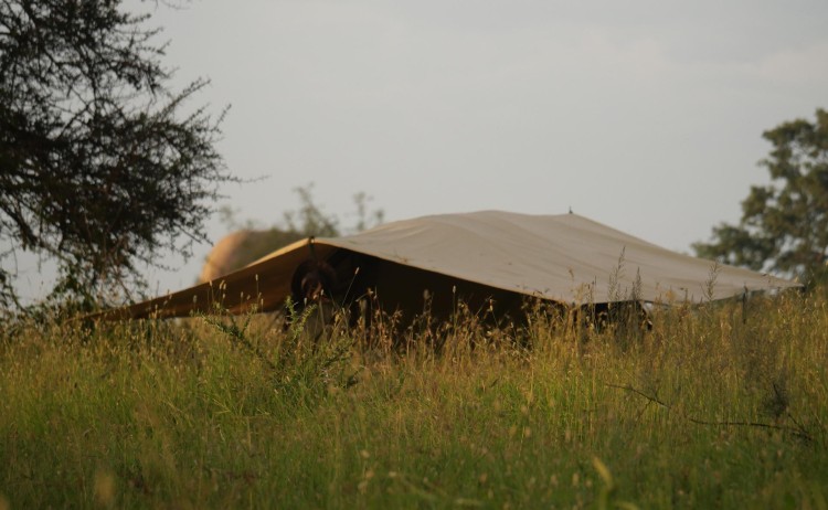 Wayo Trekking Camp 3