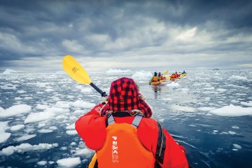Wild Antarctica featuring the Weddell Sea