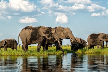Etosha to Victoria Falls Adventure: Small Group