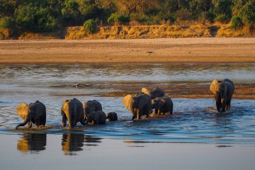 Jewels of Zambia: South Luangwa & Victoria Falls 