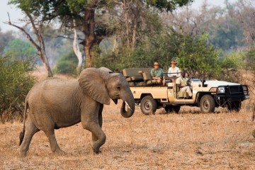 Zambia & Malawi: Bush and Beach Safari