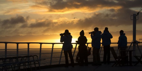 Visit Falkland Islands and don't forget your camera