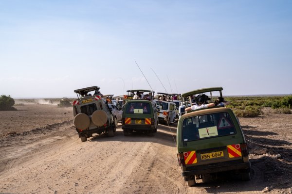 Ambroseli National Park Kenya