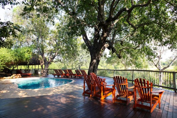 Deckchairs and pool overlooking the bush at Sabi Sabi Private Game Reserve