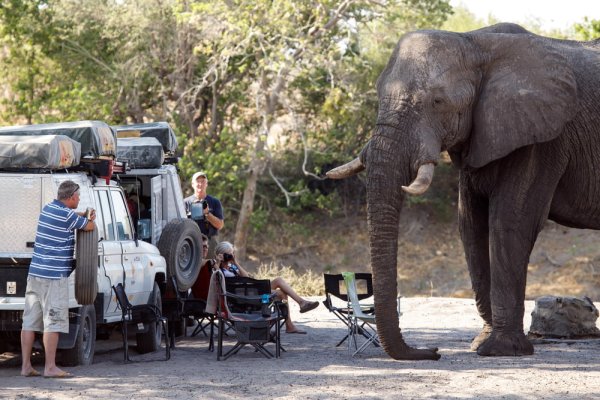 Camping Safaris - Elephant and Truck in the African Savannah
