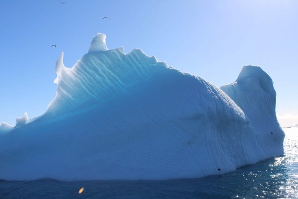 Iceberg in Antarctica