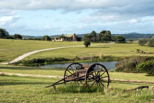 Sunny day in the Uruguay countryside