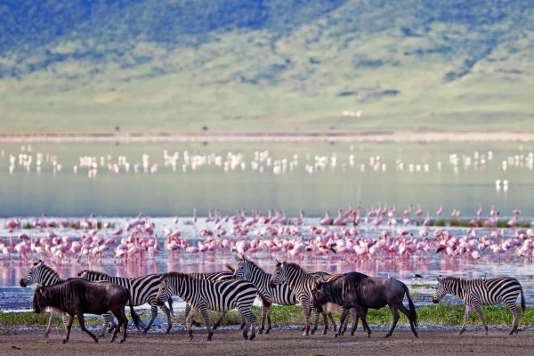 Ngorongoro crater