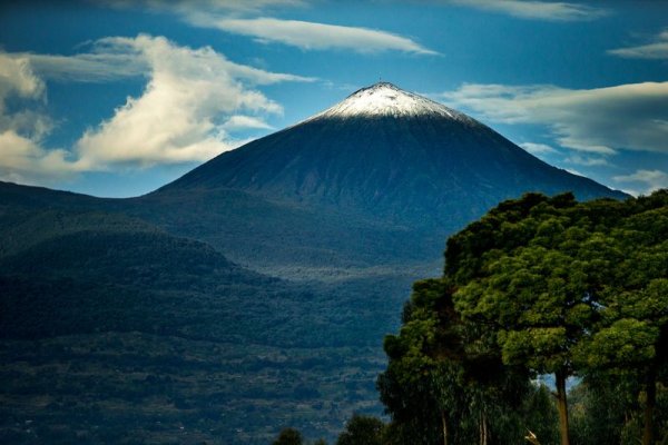 Rwanda Volcanoes National Park