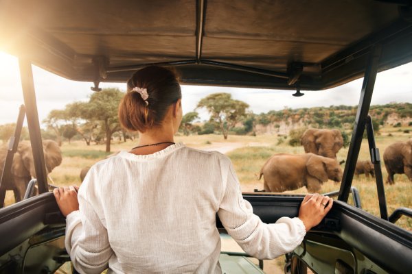 Tourist on a safari in Africa