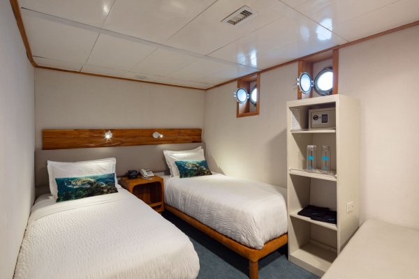 coraliistandardplus. Go Galapagos