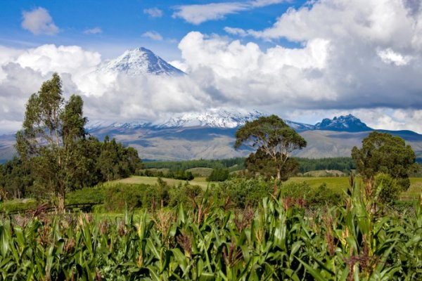 Cotopaxi Volcano, Ecuador