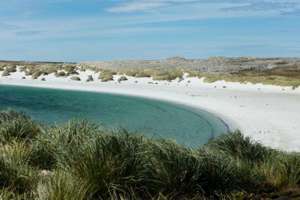 Falkland Island
