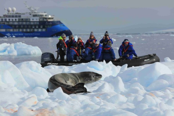 Cost of Antarctica Cruise, guest spotted a leopard seal Cost of Antarctica Cruise, guest spotted a leopard seal
