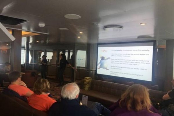 Exploring Greenland aboard L'Austral