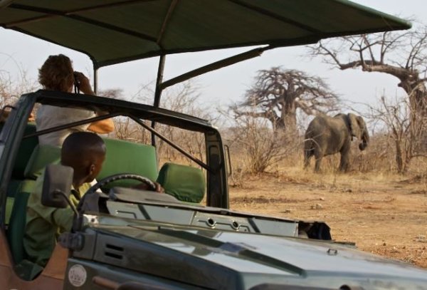 Southern Circuit game drive
