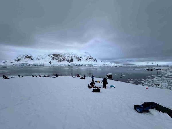 Antarctica cruise with overnight camping