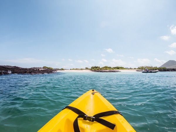 Kayaking in the Galapagos