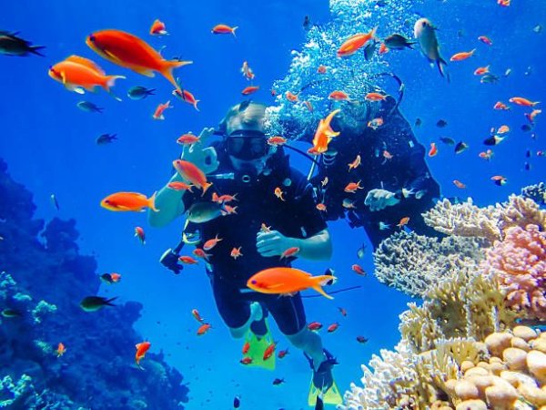 Safe to visit Egypt and experience snorkeling