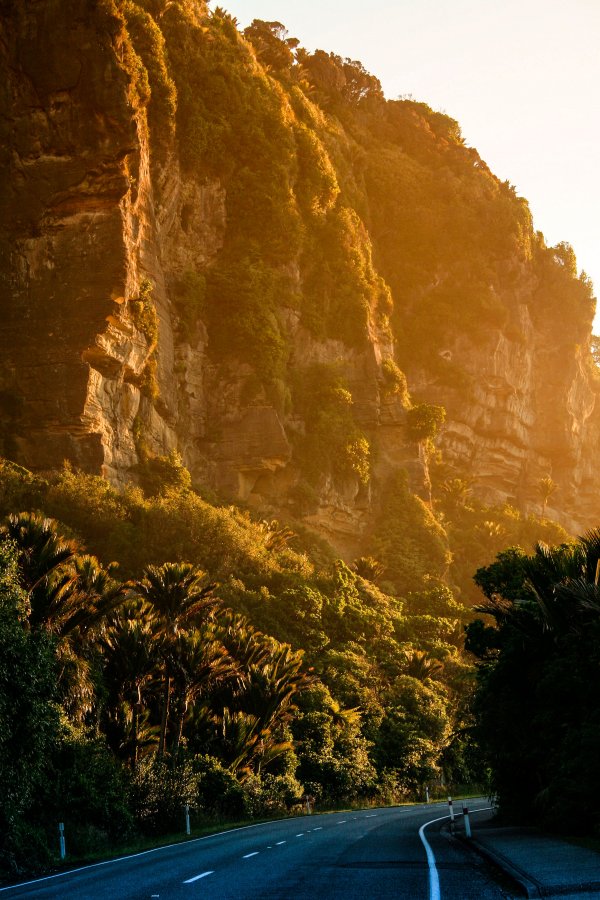 Punakaiki Marco 8785