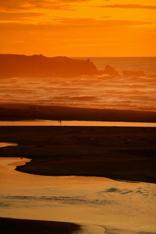 Punakaiki NZ Marco photography