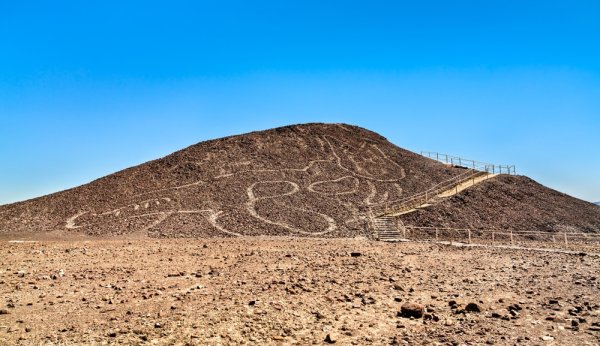 The Cat-Nazca lines in Peru