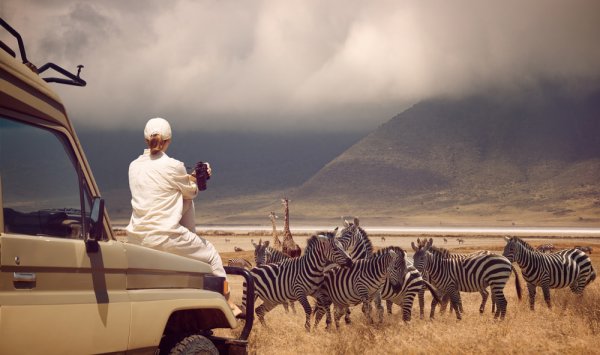 Woman sitting on a safari vehicle watching a group of zebras