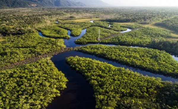 Amazon Rainforest, South America