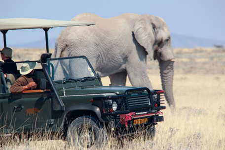Tourists in an open safari vehicle watch an elephant up close in Kruger National Park, South Africa.