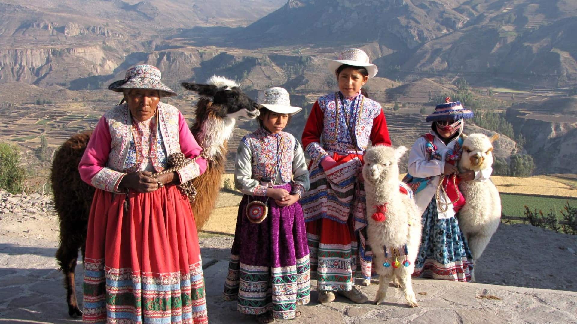Peruvian women with Llamas welcoming the tourists.